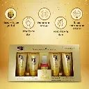 Shahnaz Husain Gold Facial Kit-2.webp