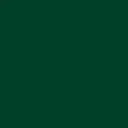 Nykaa Eyeliner - Enchanting Forest -5.webp